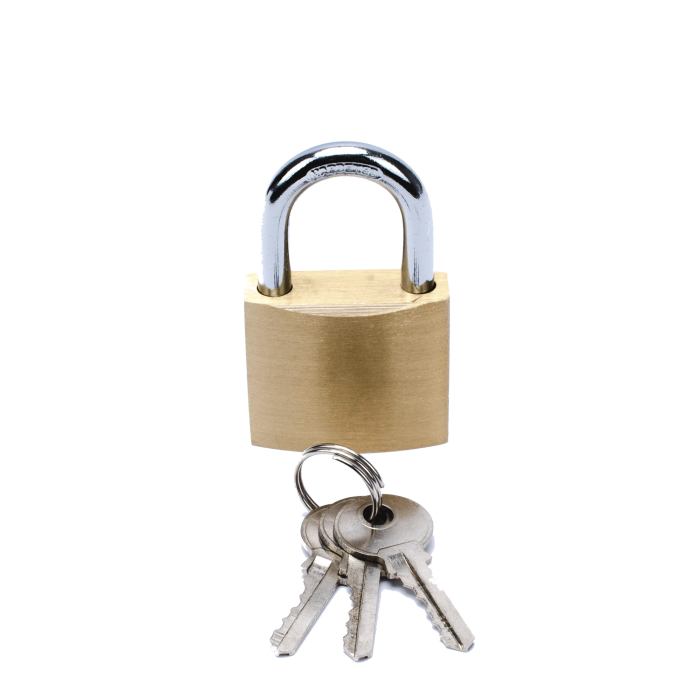Candado de Laton Cuerpo 40 x 40 mm Con 3 Llaves. Diam. de Perno: 6.2 mm - Image 1