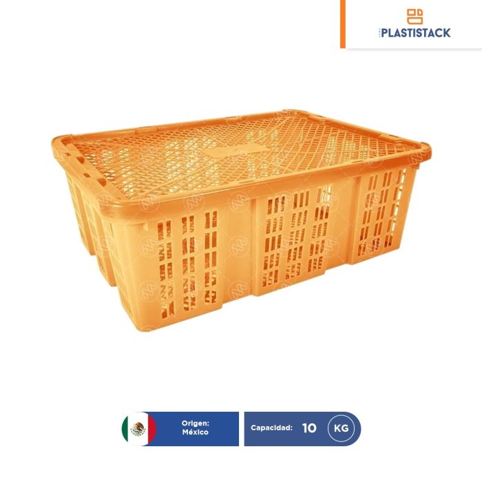 Caja Bamba'O | 48.5 x 33.5 x 15.5 cm - Image 1