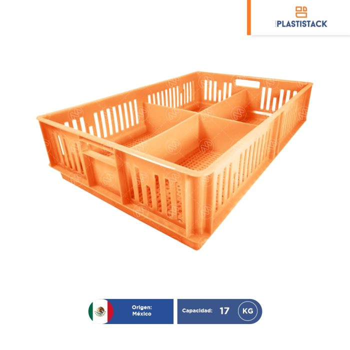 Caja para pollitos con división calada | 63 x 42 x 15 cm - Image 1