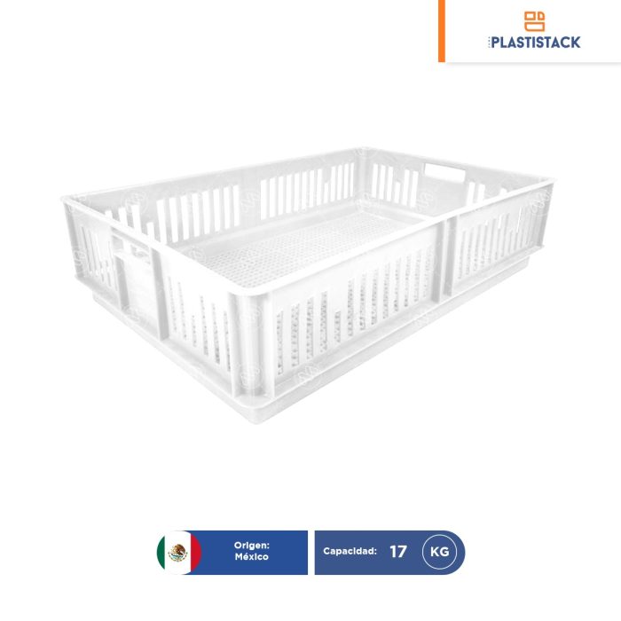 Caja para pollitos sin división calada | 63 x 42 x 15 cm - Image 1